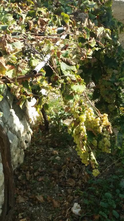 Sole E Fiori Di Sicilia Διαμέρισμα Valderice Εξωτερικό φωτογραφία