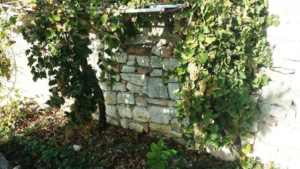 Sole E Fiori Di Sicilia Διαμέρισμα Valderice Εξωτερικό φωτογραφία