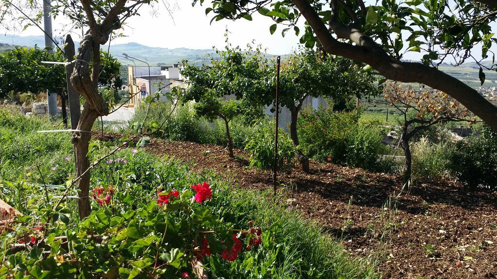 Sole E Fiori Di Sicilia Διαμέρισμα Valderice Εξωτερικό φωτογραφία